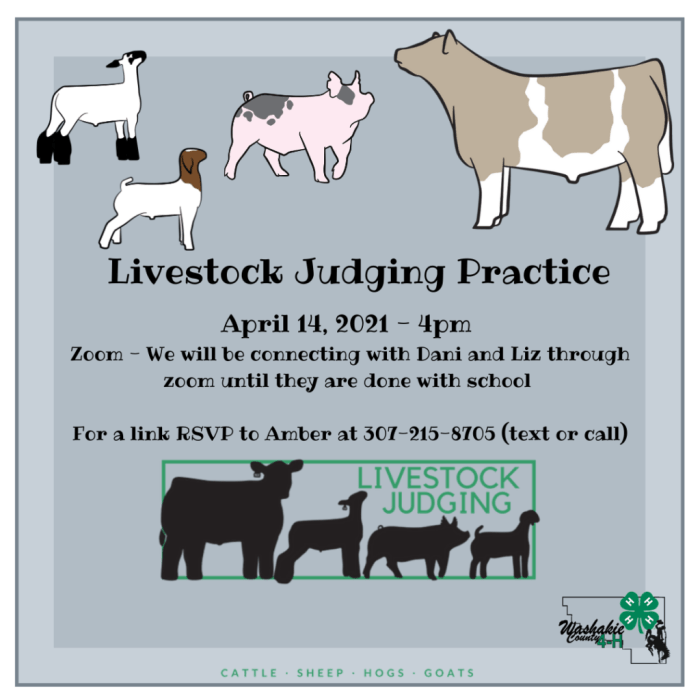 Ffa livestock judging practice test