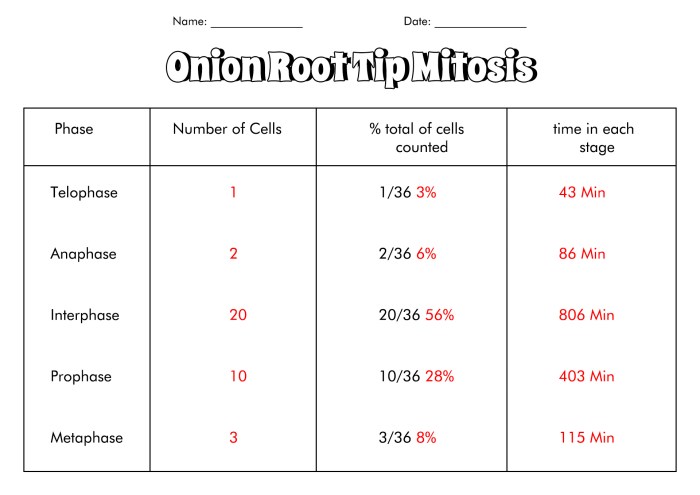 Oreo mitosis lab answer key