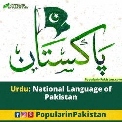 National language of pakistan crossword