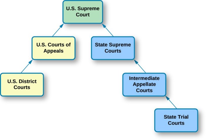 Double take dual court system answer